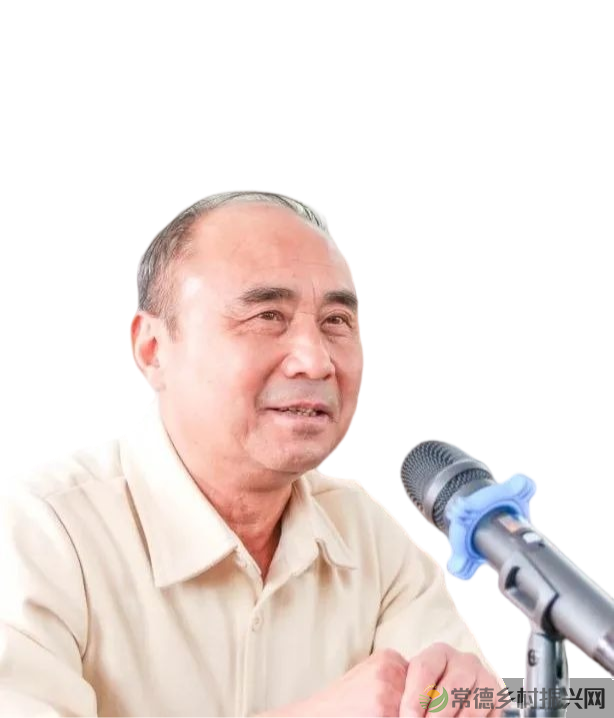 茶山行 | 常德市茶文化促进会牵手天下康茶业开展交流活动(图11) 茶山行 | 常德市茶文化促进会牵手天下康茶业开展交流活动(图11)