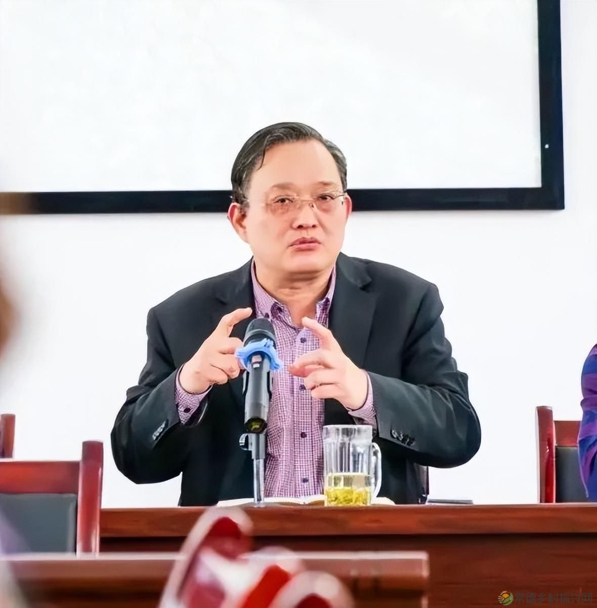 茶山行 | 常德市茶文化促进会牵手天下康茶业开展交流活动(图10) 茶山行 | 常德市茶文化促进会牵手天下康茶业开展交流活动(图10)