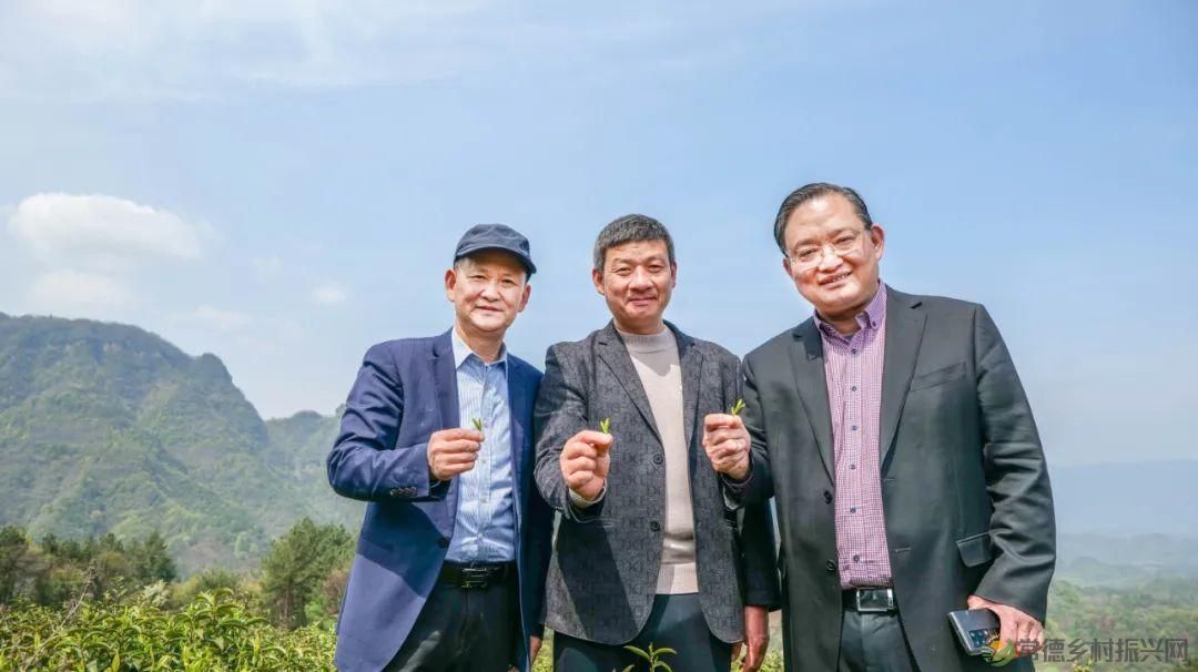 茶山行 | 常德市茶文化促进会牵手天下康茶业开展交流活动(图21) 茶山行 | 常德市茶文化促进会牵手天下康茶业开展交流活动(图21)