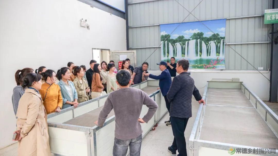 茶山行 | 常德市茶文化促进会牵手天下康茶业开展交流活动(图27) 茶山行 | 常德市茶文化促进会牵手天下康茶业开展交流活动(图27)