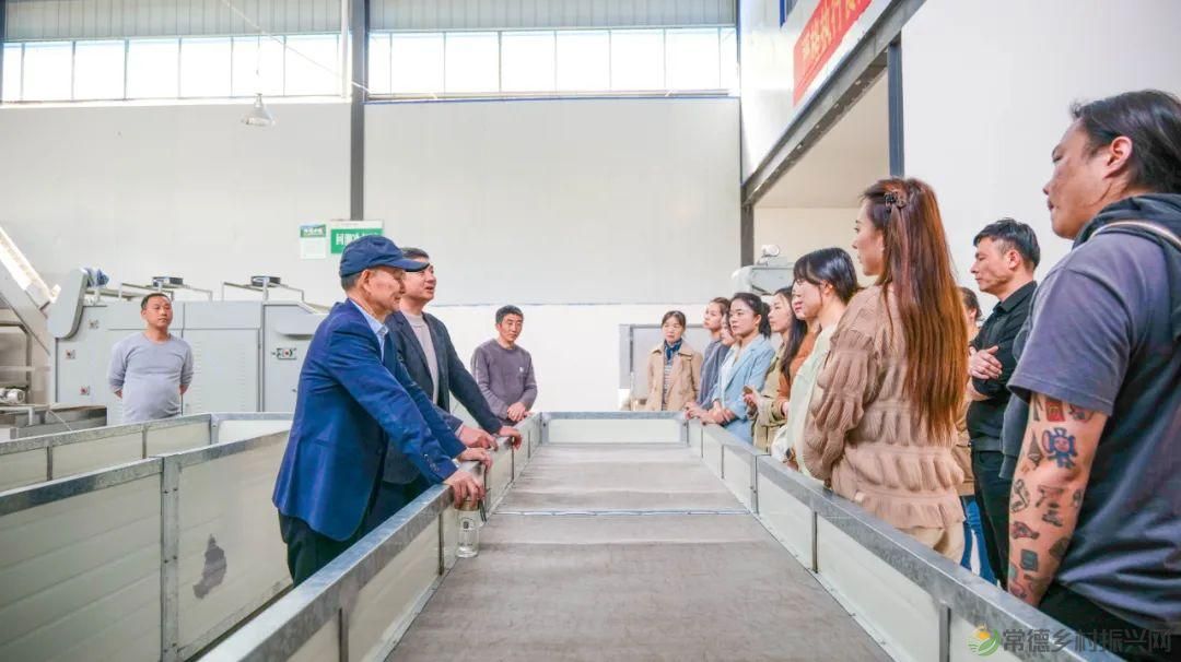 茶山行 | 常德市茶文化促进会牵手天下康茶业开展交流活动(图26) 茶山行 | 常德市茶文化促进会牵手天下康茶业开展交流活动(图26)