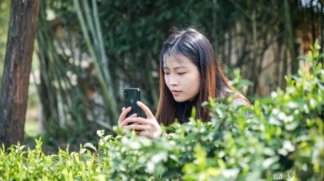 茶山行 | 常德市茶文化促进会牵手天下康茶业开展交流活动(图35) 茶山行 | 常德市茶文化促进会牵手天下康茶业开展交流活动(图35)