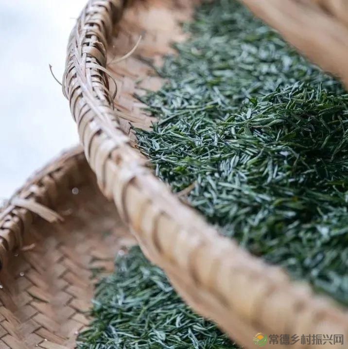 茶山行 | 常德市茶文化促进会牵手天下康茶业开展交流活动(图38) 茶山行 | 常德市茶文化促进会牵手天下康茶业开展交流活动(图38)