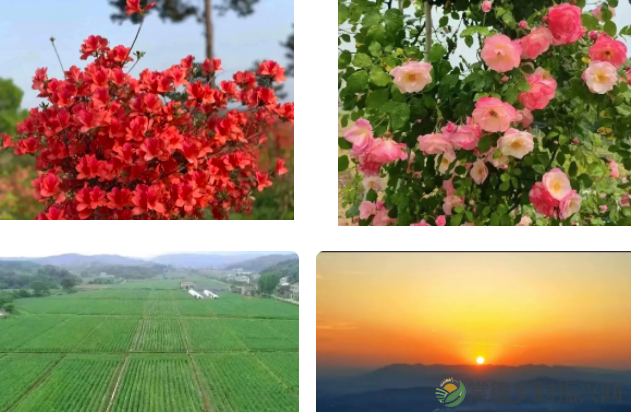 【走进临澧】倒计时1天!2023年“红映太浮·乐享临澧”文化旅游消费节有哪些亮点?提前剧透→(图3) image.png