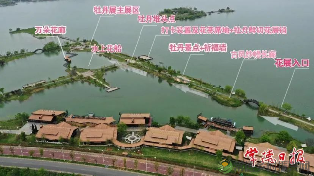 超燃，一大波“花王”和“花相”空降柳叶湖，还有柳叶船说，正盛装来袭，持续到五一假期......