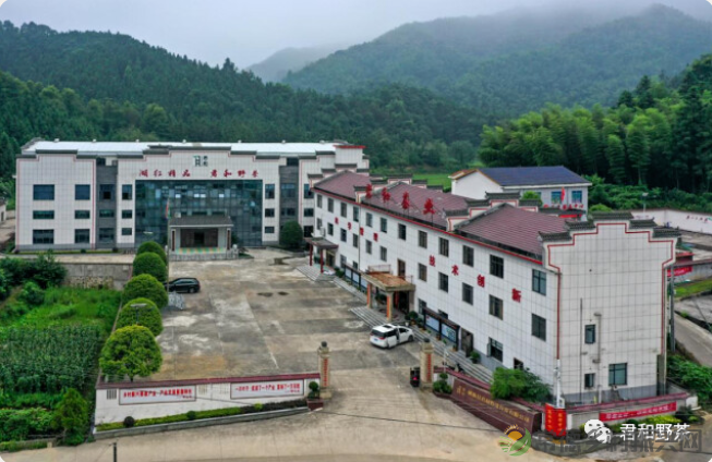 以君和茶的名义,让湖南人爱上“桃源造”(图6) image.png