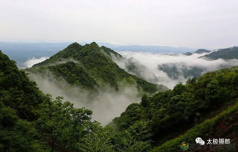 诗意行走万阳山，茶香溢满一峰尖(图2)