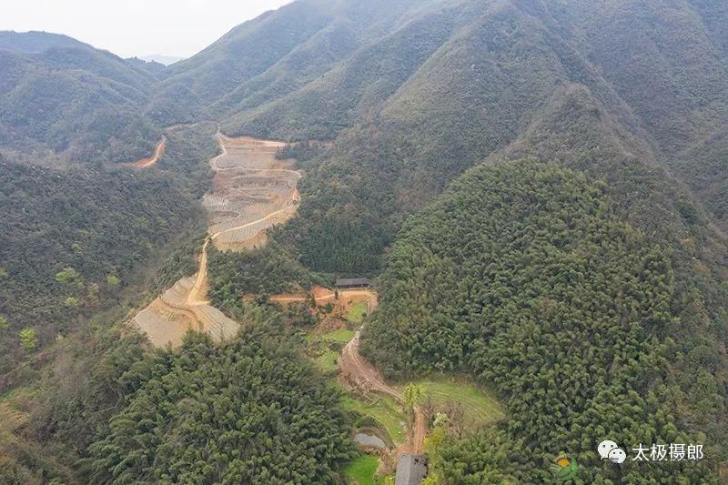 诗意行走万阳山，茶香溢满一峰尖(图4)