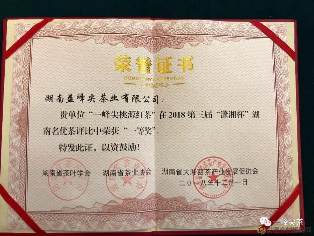 诗意行走万阳山，茶香溢满一峰尖(图7)