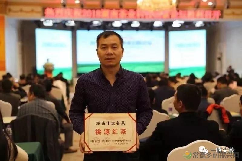 诗意行走万阳山，茶香溢满一峰尖(图6)