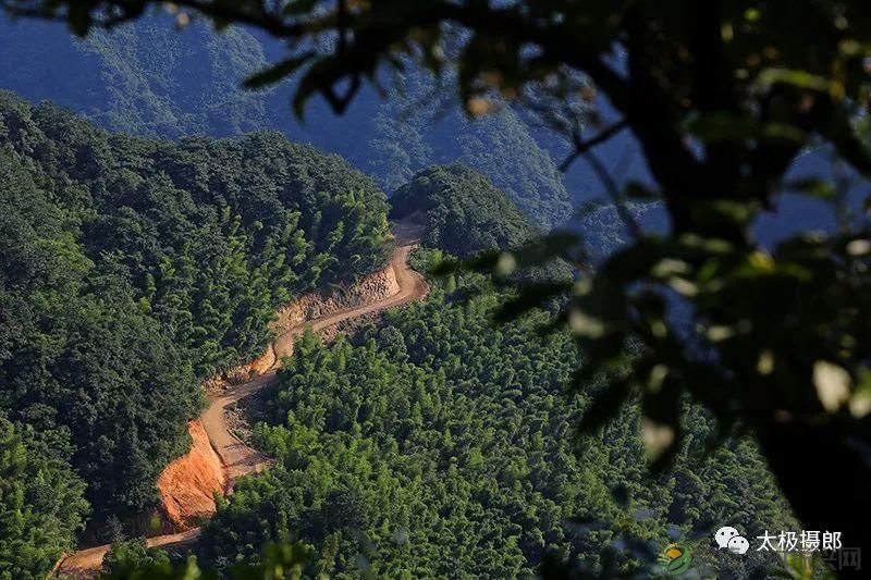 诗意行走万阳山，茶香溢满一峰尖(图9)