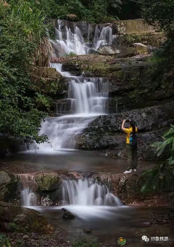 诗意行走万阳山，茶香溢满一峰尖(图14)