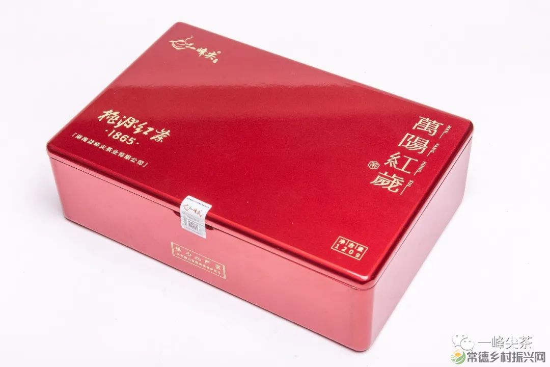 诗意行走万阳山，茶香溢满一峰尖(图18)