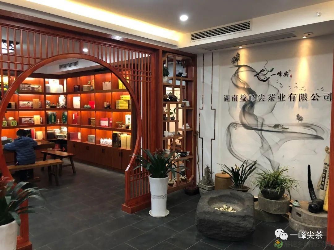 诗意行走万阳山，茶香溢满一峰尖(图21)