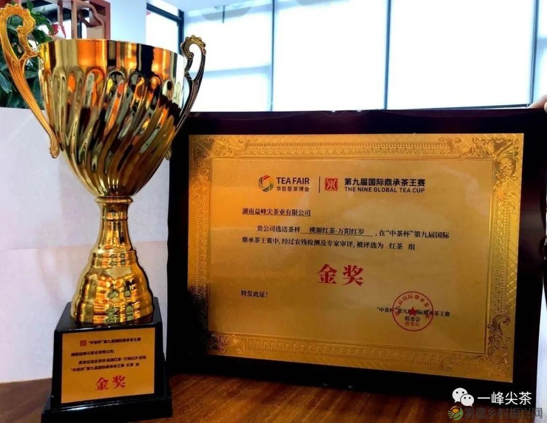 诗意行走万阳山，茶香溢满一峰尖(图19)