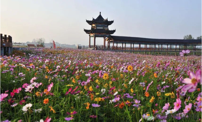 2023年桃花源文化旅游节本周五开幕(图6) image.png