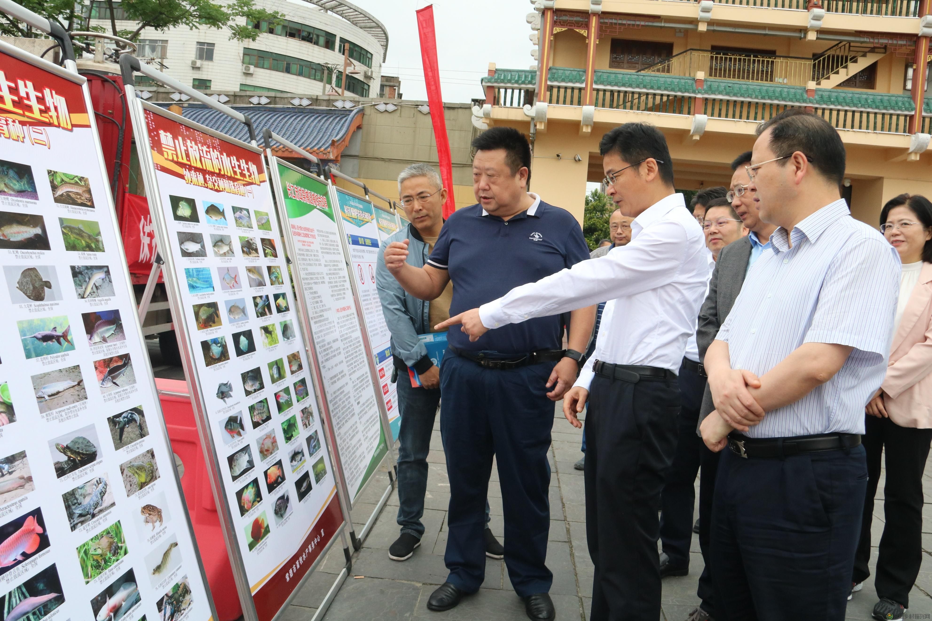 常德市举行2023年鱼类人工增殖放流活动(图3) 常德市举行2023年鱼类人工增殖放流活动(图3)