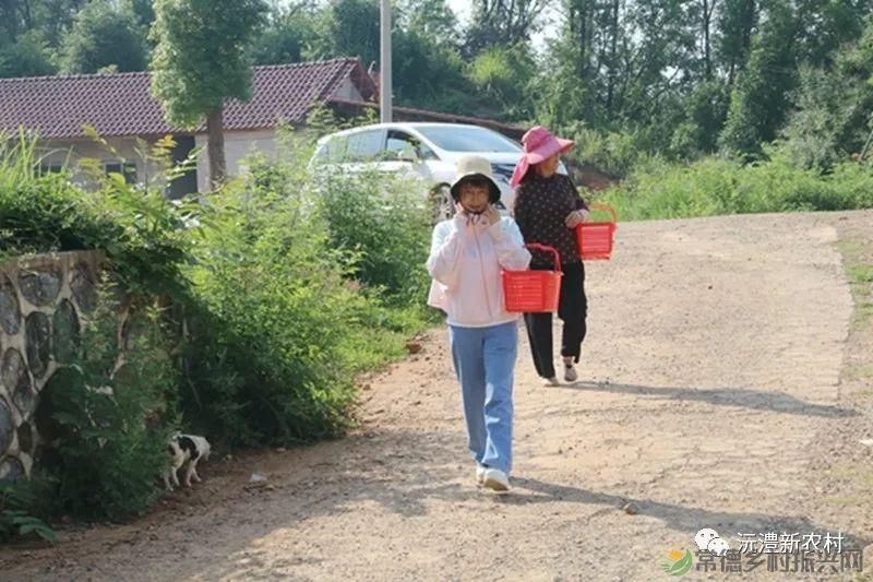 【走进临澧】解锁太浮山夏日甜蜜,一起来摘个“夏天” 露个野营吧(图8) 【走进临澧】解锁太浮山夏日甜蜜,一起来摘个“夏天” 露个野营吧(图8)