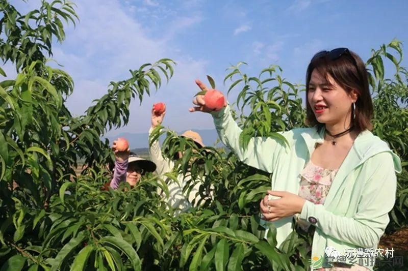 【走进临澧】解锁太浮山夏日甜蜜,一起来摘个“夏天” 露个野营吧(图10) 【走进临澧】解锁太浮山夏日甜蜜,一起来摘个“夏天” 露个野营吧(图10)