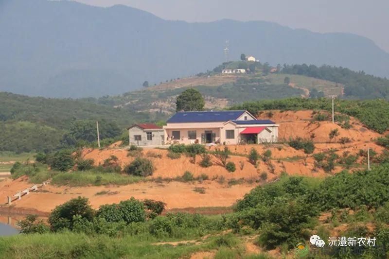 【走进临澧】解锁太浮山夏日甜蜜,一起来摘个“夏天” 露个野营吧(图17) 【走进临澧】解锁太浮山夏日甜蜜,一起来摘个“夏天” 露个野营吧(图17)