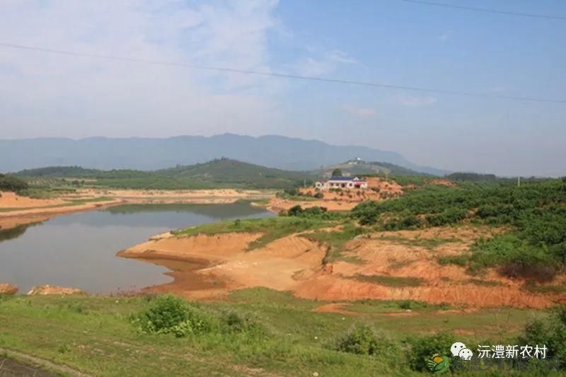 【走进临澧】解锁太浮山夏日甜蜜,一起来摘个“夏天” 露个野营吧(图18) 【走进临澧】解锁太浮山夏日甜蜜,一起来摘个“夏天” 露个野营吧(图18)