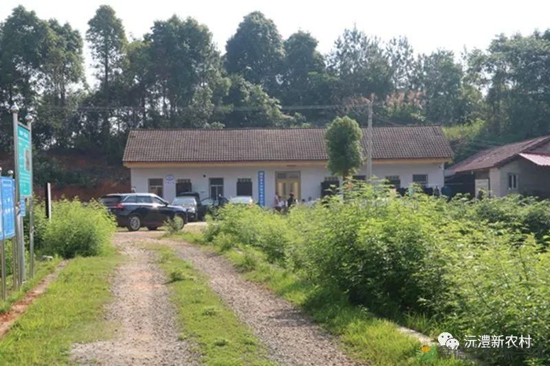 【走进临澧】解锁太浮山夏日甜蜜,一起来摘个“夏天” 露个野营吧(图19) 【走进临澧】解锁太浮山夏日甜蜜,一起来摘个“夏天” 露个野营吧(图19)