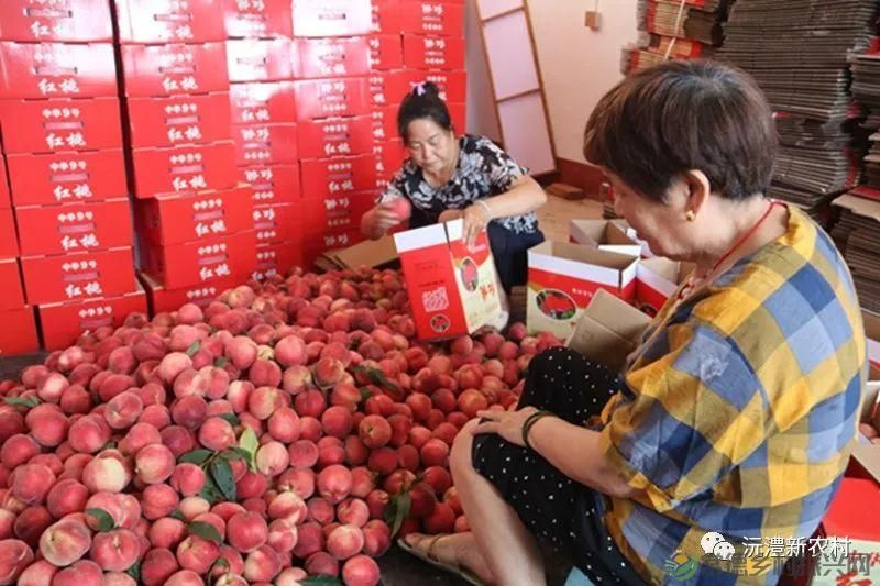 【走进临澧】解锁太浮山夏日甜蜜,一起来摘个“夏天” 露个野营吧(图20) 【走进临澧】解锁太浮山夏日甜蜜,一起来摘个“夏天” 露个野营吧(图20)