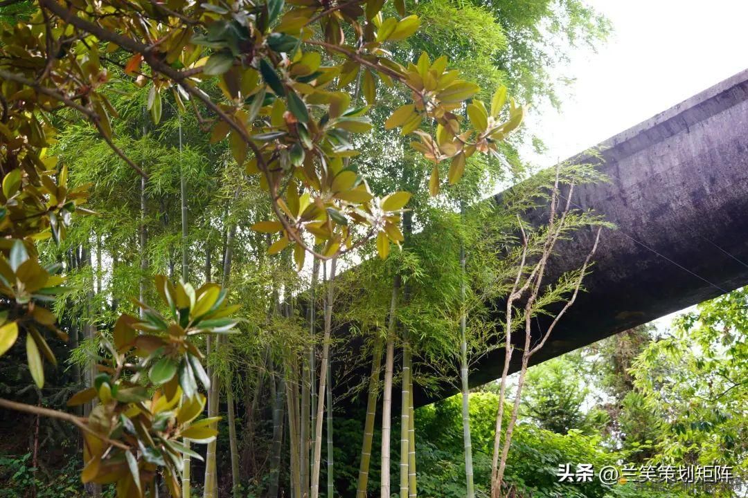 当五溪谷遇见湘北神雕 许多关于善卷的故事正精彩上演(图28) 当五溪谷遇见湘北神雕 许多关于善卷的故事正精彩上演(图28)