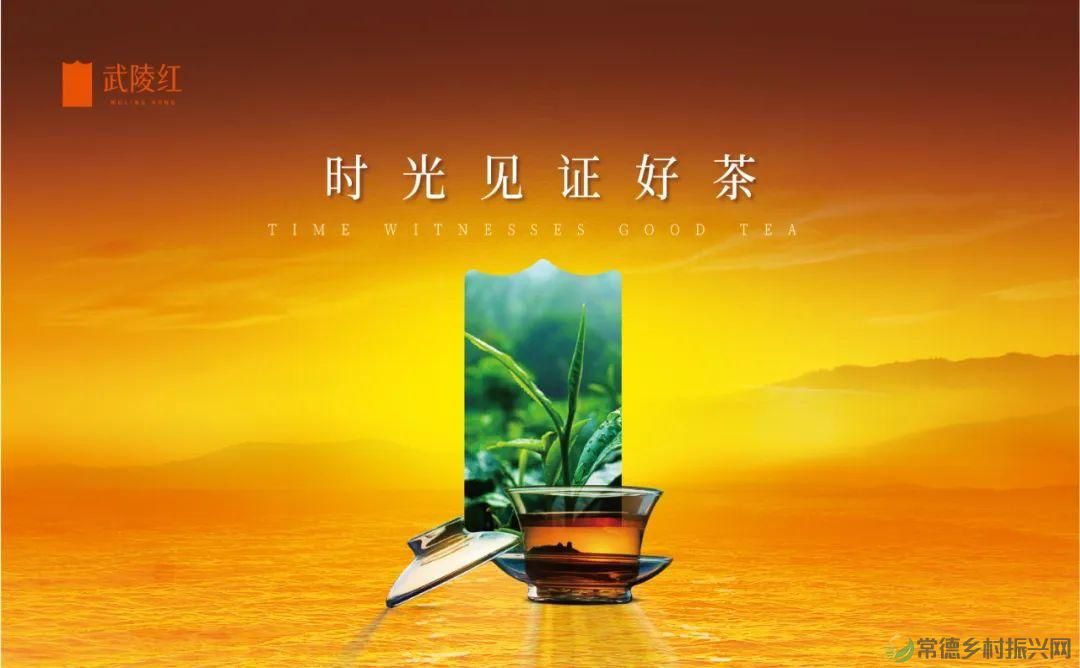 武陵红:“资汇沅澧 共创共赢 国资国企进常德”大会唯一指定用茶(图3) 武陵红:“资汇沅澧 共创共赢 国资国企进常德”大会唯一指定用茶(图3)