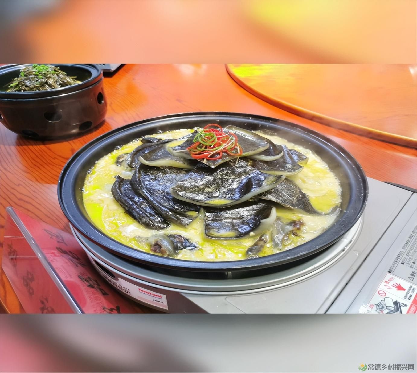 “常德甲鱼 食尚星城”常德甲鱼推介暨招商大会将于6月20日在长沙召开(图12)