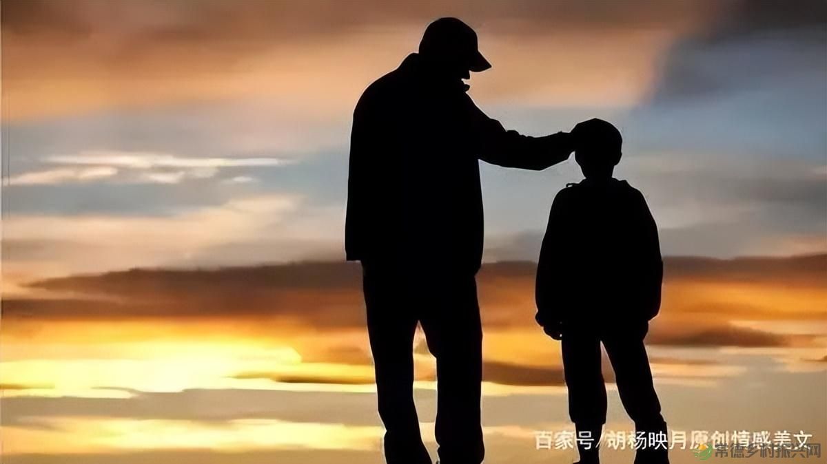 父亲节 以一钵常德甲鱼  致敬天下父亲(图2)