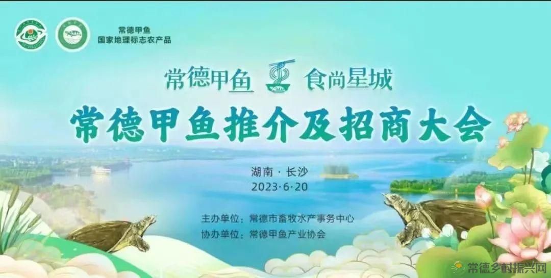 父亲节 以一钵常德甲鱼  致敬天下父亲