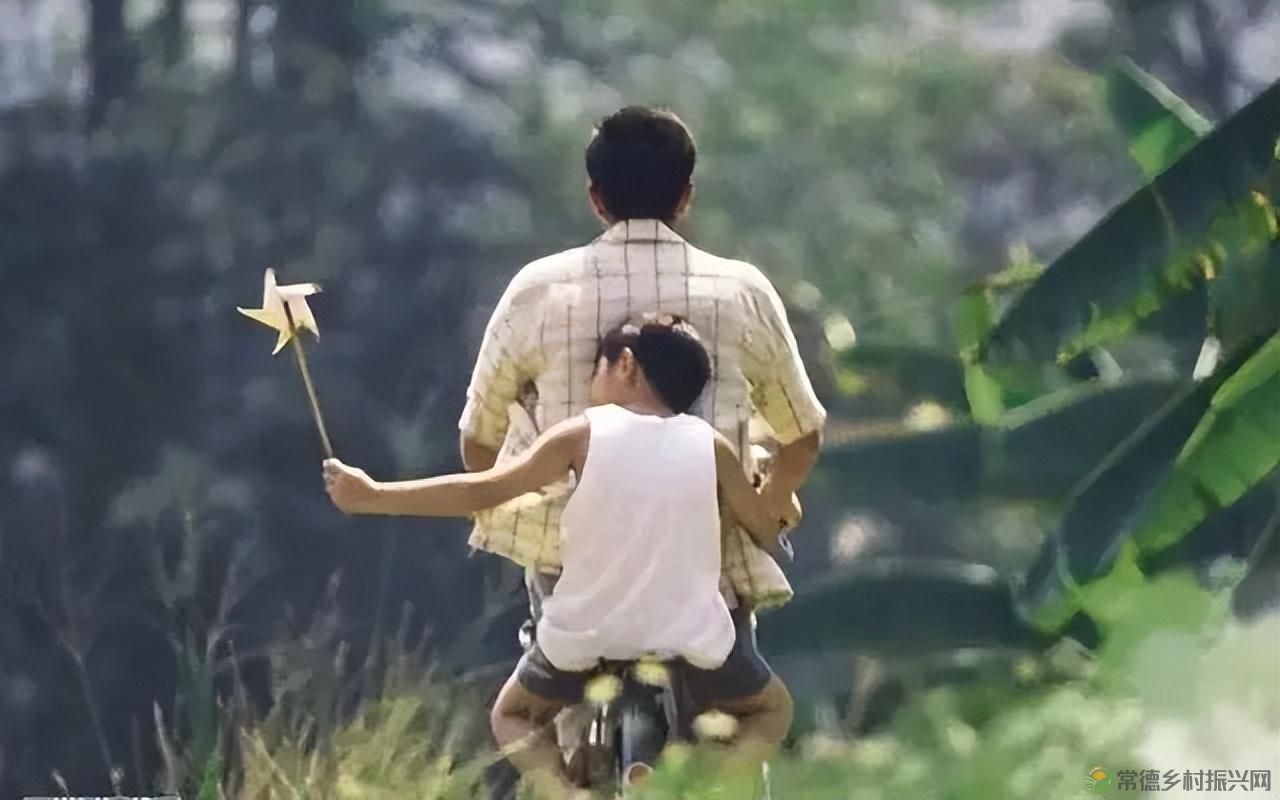 父亲节 以一钵常德甲鱼  致敬天下父亲(图19)