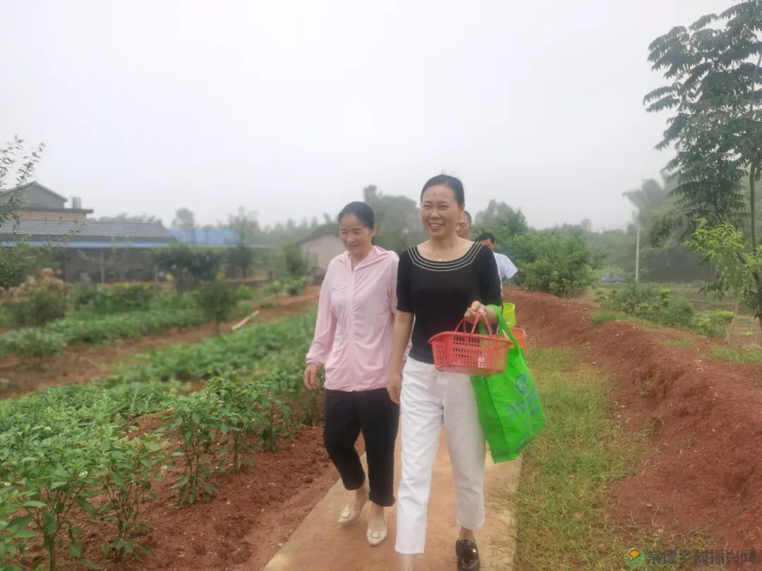 常德市精亲友协会开展送技术下乡、关爱精亲友农户活动(图4) 常德市精亲友协会开展送技术下乡、关爱精亲友农户活动(图4)