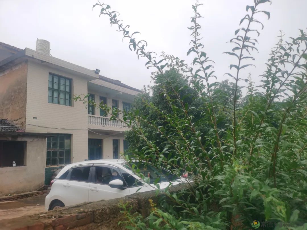 常德市精亲友协会开展送技术下乡、关爱精亲友农户活动(图13) 常德市精亲友协会开展送技术下乡、关爱精亲友农户活动(图13)