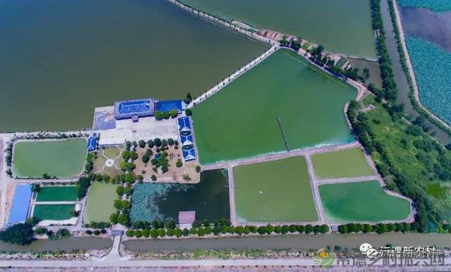 【寻味常德】从一钵常德甲鱼说起(图8) 【寻味常德】从一钵常德甲鱼说起(图8)