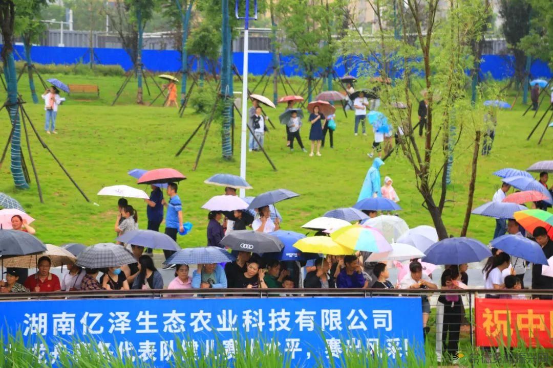 花落谁家?中国•常德鼎城首届阳明湖龙舟赛完美收官(图24) 花落谁家?中国•常德鼎城首届阳明湖龙舟赛完美收官(图24)