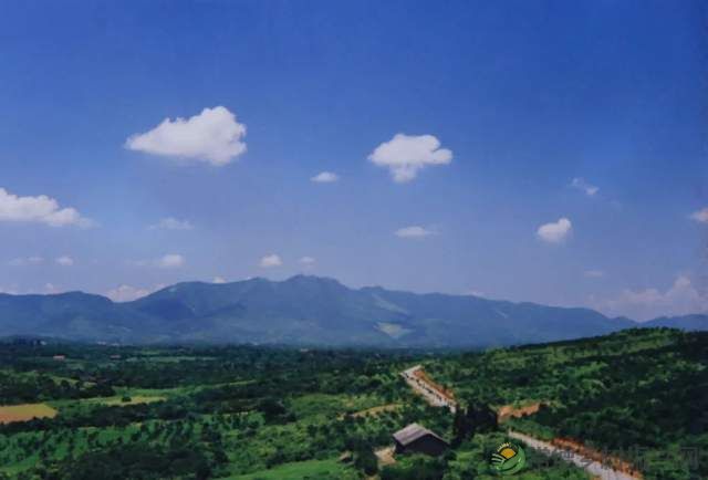 柳叶湖建区30周年回眸|从绿水青山到金山银山的蝶变之路(图9) 柳叶湖建区30周年回眸|从绿水青山到金山银山的蝶变之路(图9)