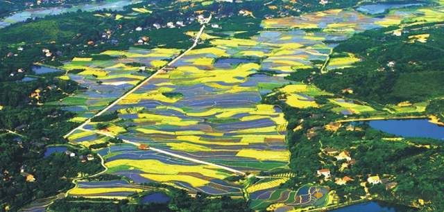 柳叶湖建区30周年回眸|从绿水青山到金山银山的蝶变之路(图14) 柳叶湖建区30周年回眸|从绿水青山到金山银山的蝶变之路(图14)