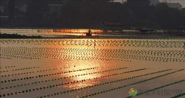 柳叶湖建区30周年回眸|从绿水青山到金山银山的蝶变之路(图25) 柳叶湖建区30周年回眸|从绿水青山到金山银山的蝶变之路(图25)