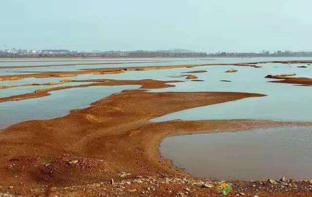 柳叶湖建区30周年回眸|从绿水青山到金山银山的蝶变之路(图31) 柳叶湖建区30周年回眸|从绿水青山到金山银山的蝶变之路(图31)