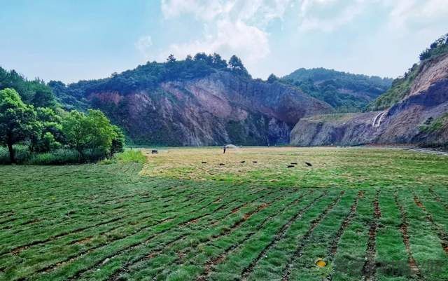 柳叶湖建区30周年回眸|从绿水青山到金山银山的蝶变之路(图47) 柳叶湖建区30周年回眸|从绿水青山到金山银山的蝶变之路(图47)