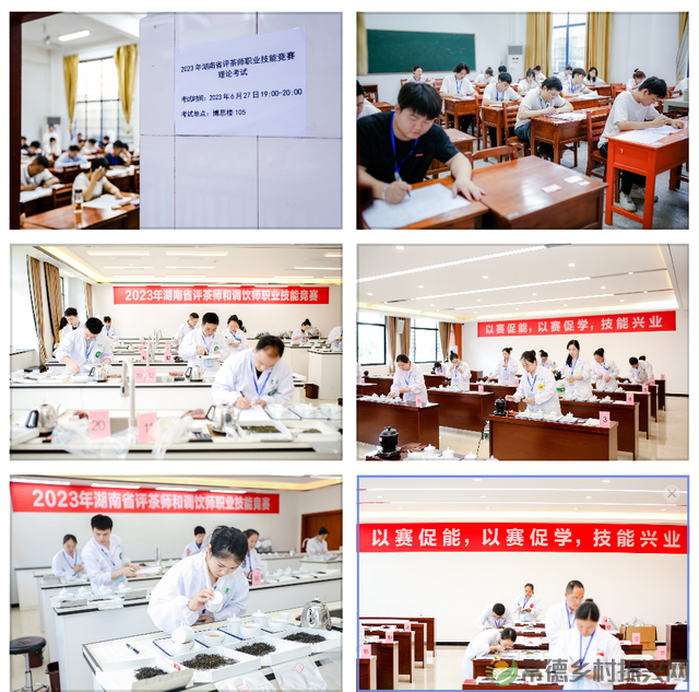 常德榜上有名 2023年湖南省评茶师和调饮师职业技能竞赛圆满收官(图20) 常德榜上有名 2023年湖南省评茶师和调饮师职业技能竞赛圆满收官(图20)