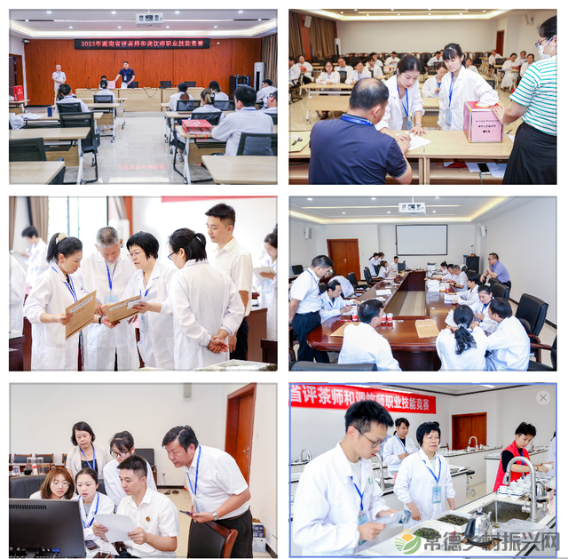 常德榜上有名 2023年湖南省评茶师和调饮师职业技能竞赛圆满收官(图23) 常德榜上有名 2023年湖南省评茶师和调饮师职业技能竞赛圆满收官(图23)