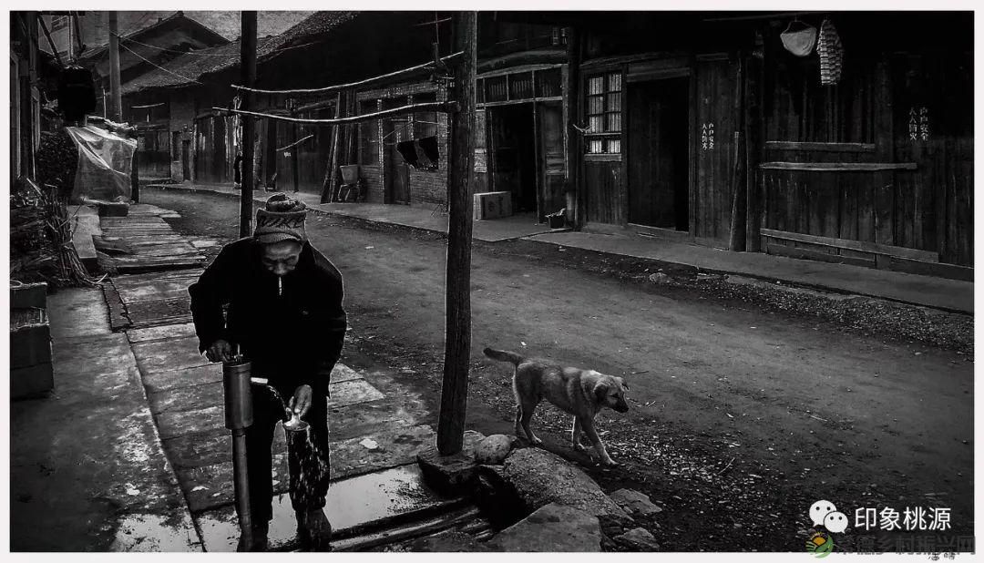 【沙坪印象】夏天均温23℃,一半是水,一半是山,这座乡土味儿的避世小城,值得打卡100次!(图4) 【沙坪印象】夏天均温23℃,一半是水,一半是山,这座乡土味儿的避世小城,值得打卡100次!(图4)