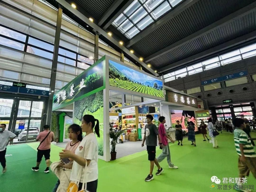 【喜讯】湖南唯一   桃源君和云领系列获“中茶杯”第十三届国际鼎承茶王赛金奖(图4)