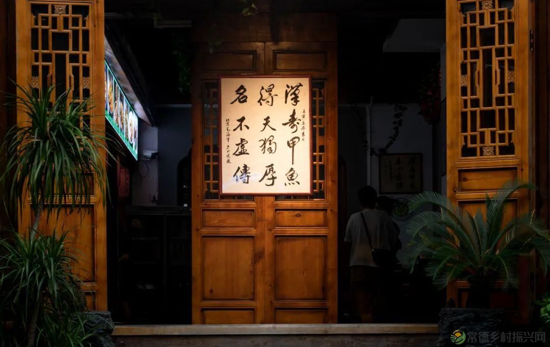 常德甲鱼唯美仙，仙湖甲鱼看过来......