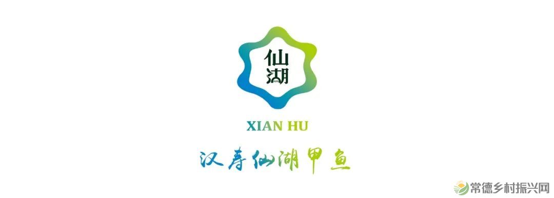 常德甲鱼唯美仙,仙湖甲鱼看过来......(图10) 常德甲鱼唯美仙,仙湖甲鱼看过来......(图10)