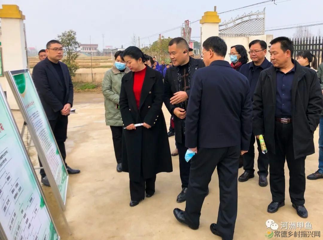 市领导一行莅临河洲甲鱼产业集团调研指导甲鱼产业发展情况