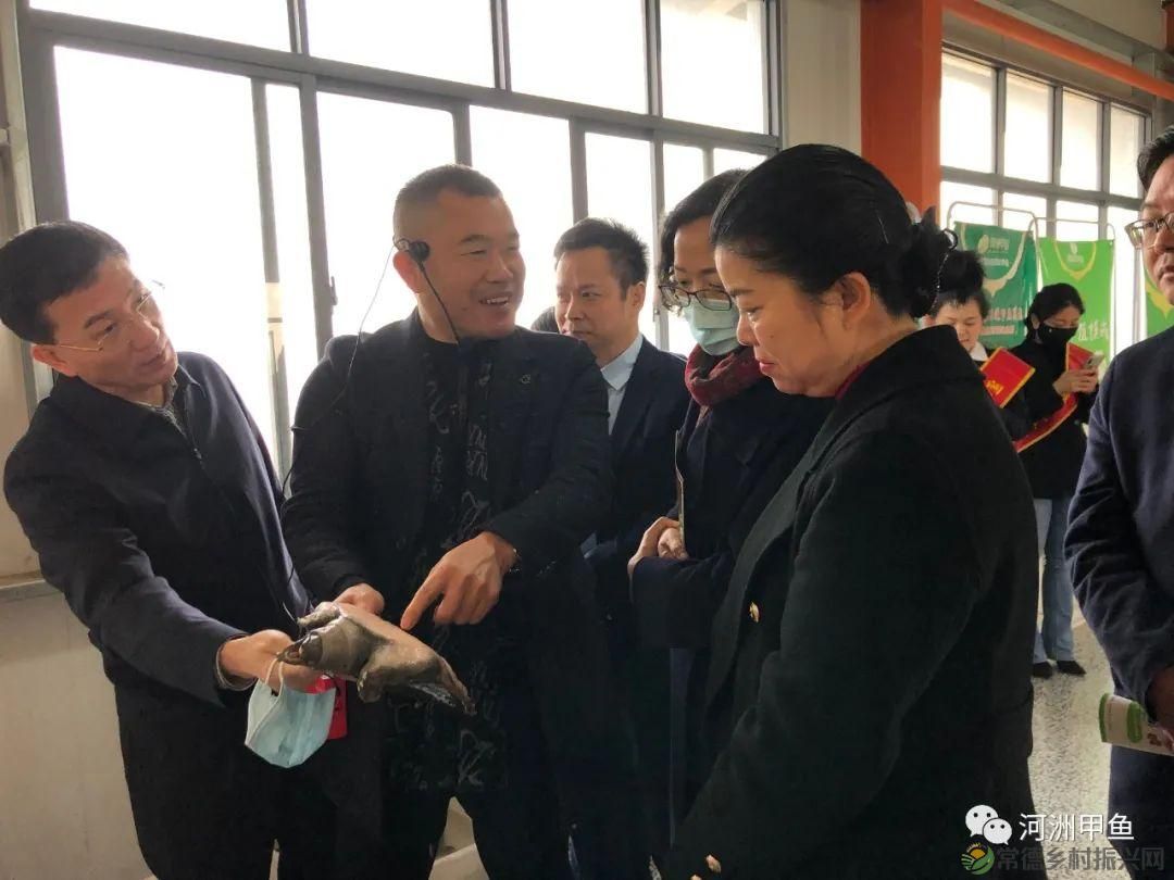 市领导一行莅临河洲甲鱼产业集团调研指导甲鱼产业发展情况(图3) 市领导一行莅临河洲甲鱼产业集团调研指导甲鱼产业发展情况(图3)